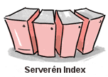 Google Index Servers